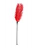 Pejcz Red Feather Tickler